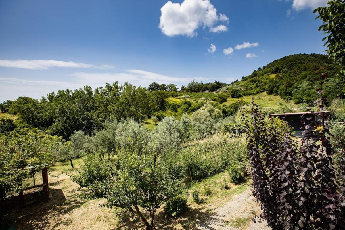 Casa Damiano Villa Chianni Eksteriør billede